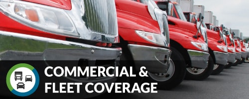 Commerical and Fleet plans